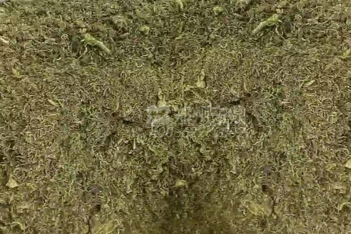 牧草烘干機(jī)如何科學(xué)選型？牧草烘干過程中營(yíng)養(yǎng)成分會(huì)流失嗎