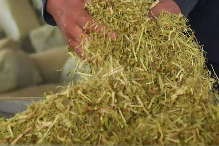 生物質(zhì)烘干機(jī)廠家鄭州東鼎干燥開發(fā)了大型檸條烘干機(jī)成套設(shè)備，實(shí)現(xiàn)了檸條資源規(guī)?；弥贰?></div>
                                                <div   id=